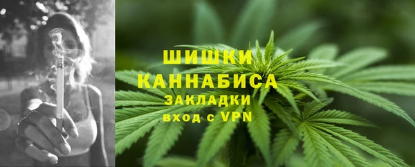 молекула духа Липки